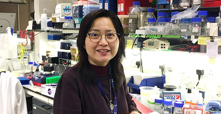 Dr. Masako Narita, The Cancer Research UK Cambridge Institute, University of Cambridge