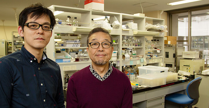 Professor Tamotsu Yoshimori, Department of Genetics, Graduate School of Medicine / Laboratory of Intracellular Membrane Dynamics, Graduate School of Frontier Biosciences