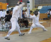 fencing-1.jpg