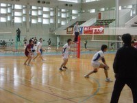 Volleyball image