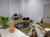 Simulation Game? image