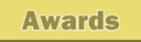 Awards button 2