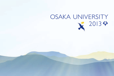 Prospectus 2013 digest