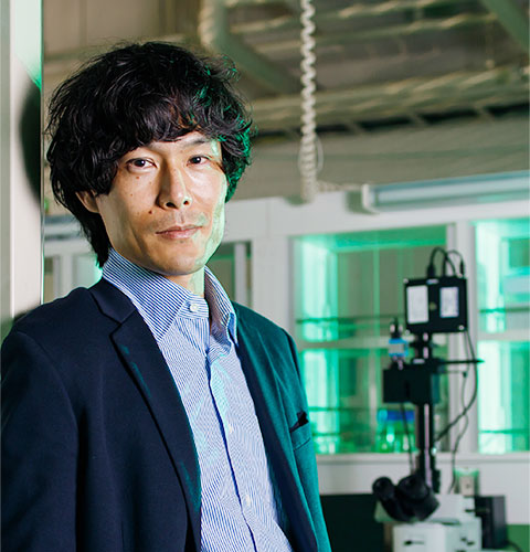 Professor Keisuke Fujii