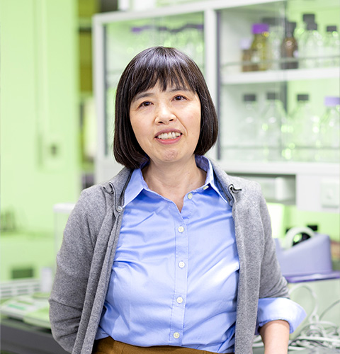Professor Mariko Okada