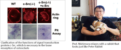 nishimurariko1english
