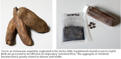 coi site 3 english.png