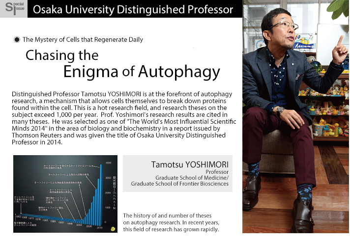 The Mystery of Cells that Regenerate Daily -- Chasing the Enigma of Autophagy