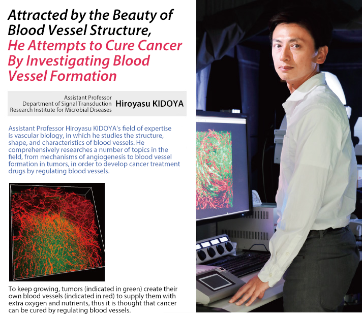 Hiroyasu KIDOYA (Assistant Professor, Department of Signal Transduction, Research Institute of Microbial Diseases)