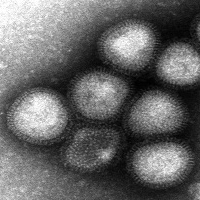 A(H7N9) influenza announcement #1