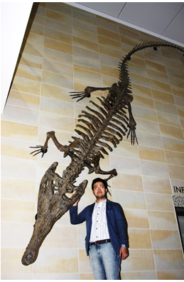 Machikane Crocodylidae 2