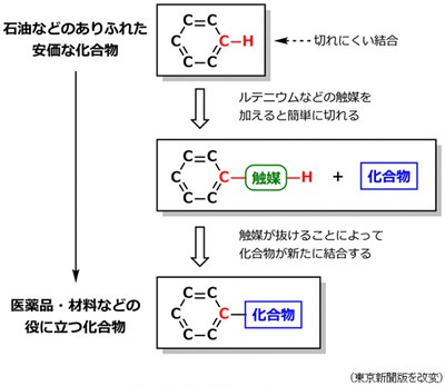 catalytic reaction.jpg