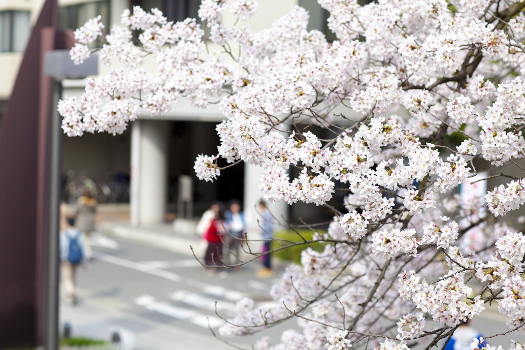 Achieving DE&I at UOsaka -- A Comprehensive Package for the Enhancement of Women’s Education