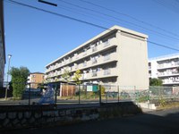 toyona-kahigashi.jfif