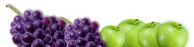 photo_back_fruit.png