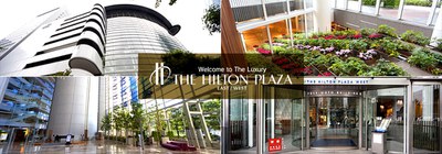 20161226_hiltonplaza.jpg
