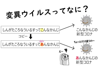 感染症と免疫のQ&Aサイトをオープンしました