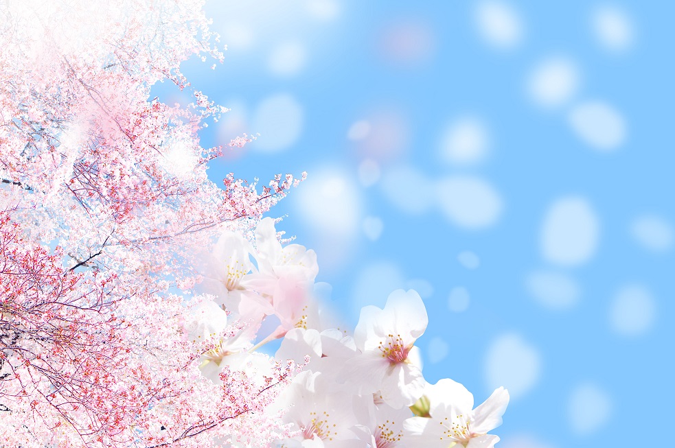 退職教授による記念講義