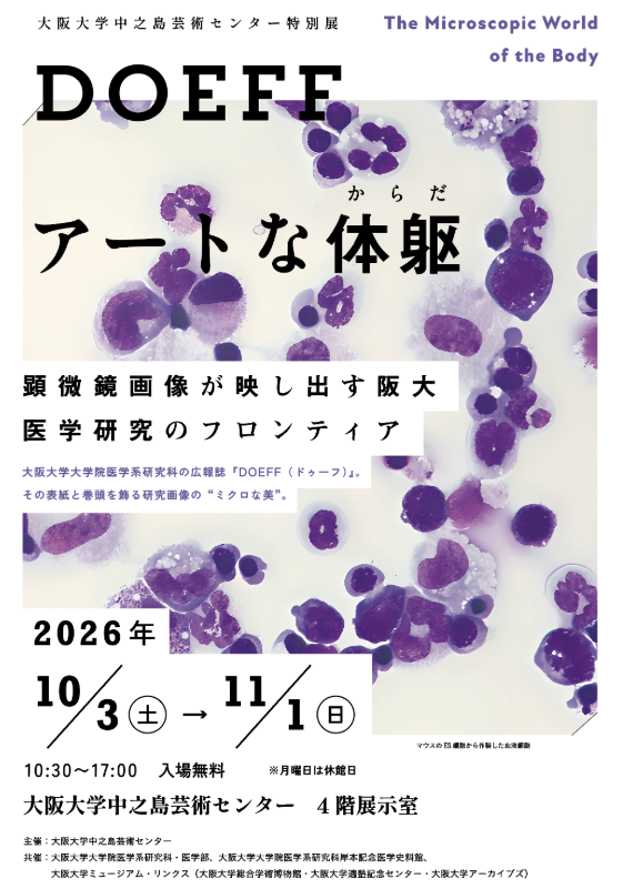 中之島芸術センター特別展「DOEFF アートな体躯」