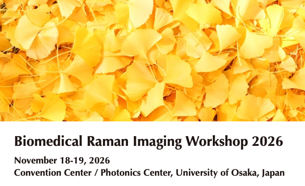 Biomedical Raman Imaging Workshop 2026