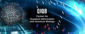 QIQB