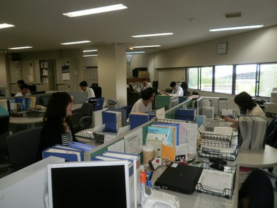 かわしまさんこっち