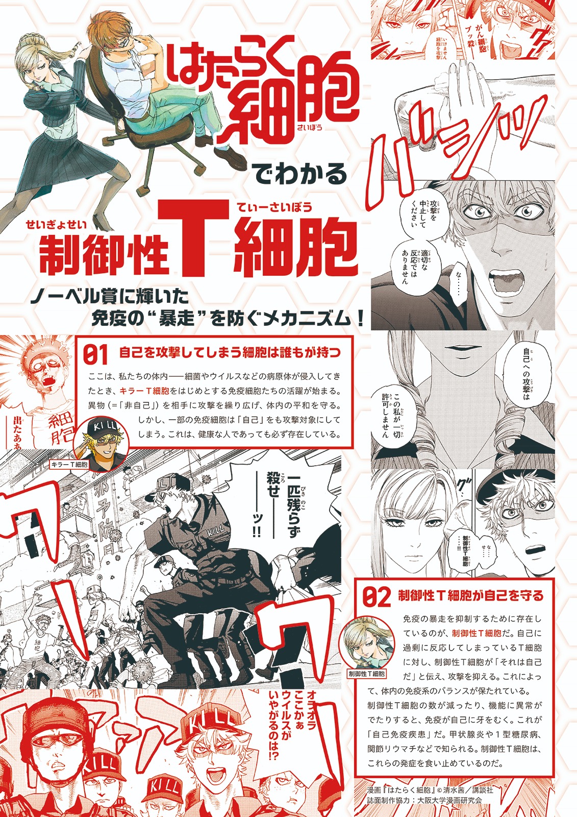 【『はたらく細胞』でわかる 制御性T細胞 誌面1】01 自己を攻撃してしまう細胞は誰もが持つ，02 制御性T細胞が自己を守る，漫画『はたらく細胞』 ©清水茜／講談社，誌面制作協力：大阪大学漫画研究会