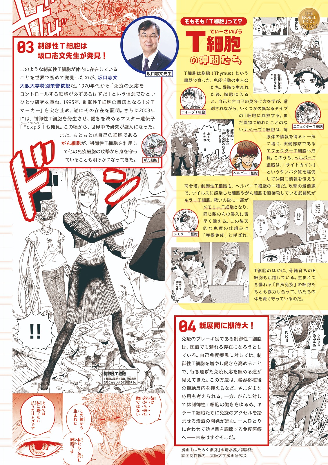 【『はたらく細胞』でわかる 制御性T細胞 誌面2】03 制御性T細胞は坂口志文先生が発見！，04 新展開に期待大！，そもそも「T細胞」って？ T細胞の仲間たち，漫画『はたらく細胞』 ©清水茜／講談社，誌面制作協力：大阪大学漫画研究会