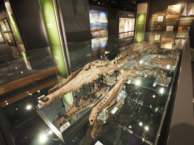 公開教室写真（博物館）