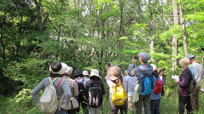 公開教室写真（植物探検隊）