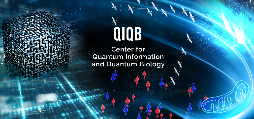 重点領域ー量子情報・量子生命研究