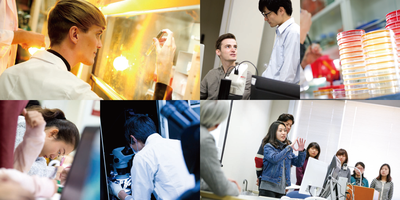 PROSPECTUS_Pride_pdf_16