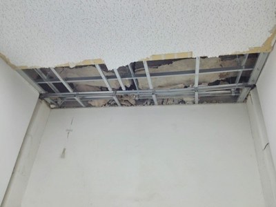 微生物病研究所