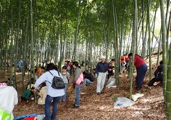 タケの会竹林の間伐・清掃