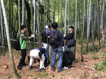 タケの会　流しそうめんで使用する竹の伐採